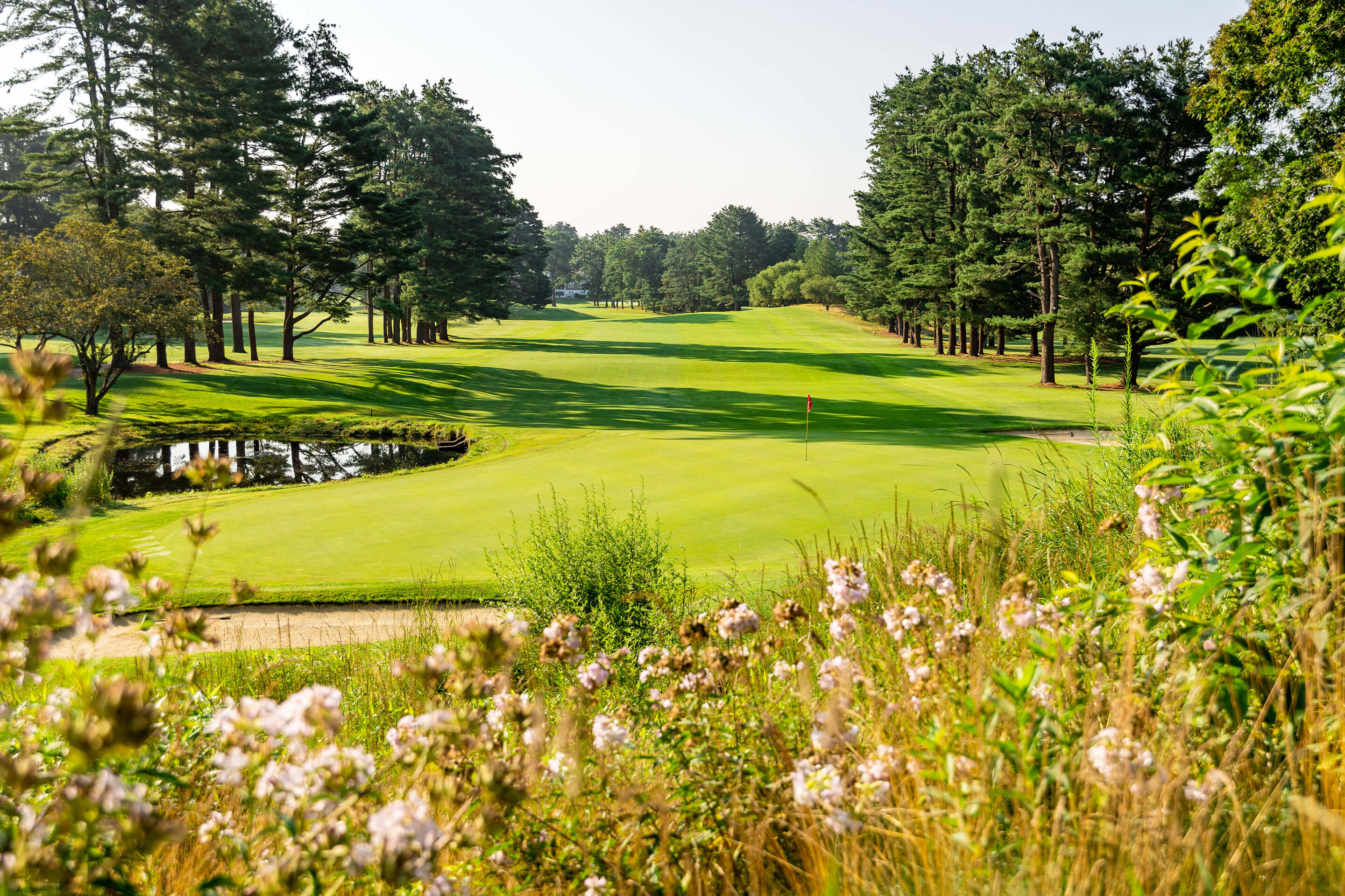 golf green with sand and water trap to the left